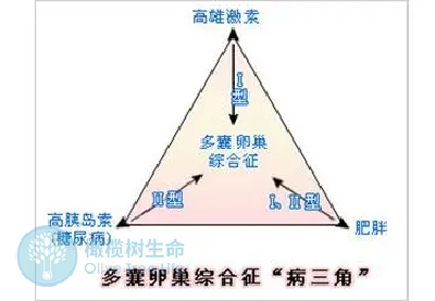 肥胖多囊会致不孕，合理控制饮食将能改善生育条件